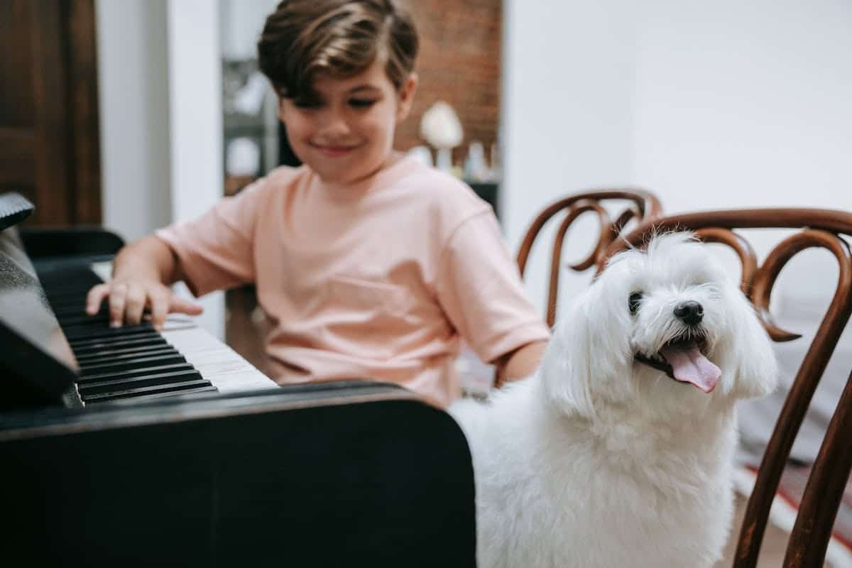 hond muziek